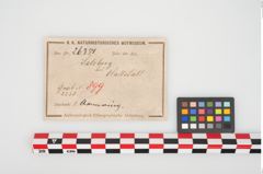 Foto von Bronzebuckelarmreif (NHMW-PRAE-026381)